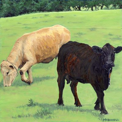 Two cows, one beige and one black, grazing in a green field with trees in the background.