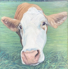 Curiosity in Lochiel