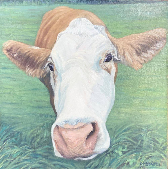 Curiosity in Lochiel