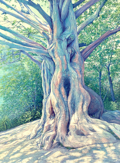 High Park Cypress - PRINT