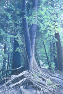 Tangled (aka Root Hive)-2