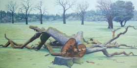 Coastal Disintegration