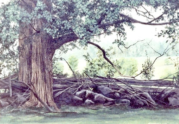 Line Fence Early Original