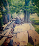 Barnyard Maples, aka Damned Cows-1