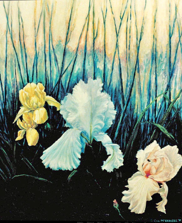 Dark Irises