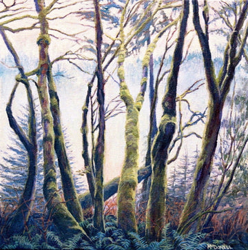 Pacific Coast Moss
