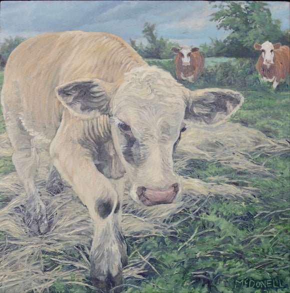 Little Blond Bull Original