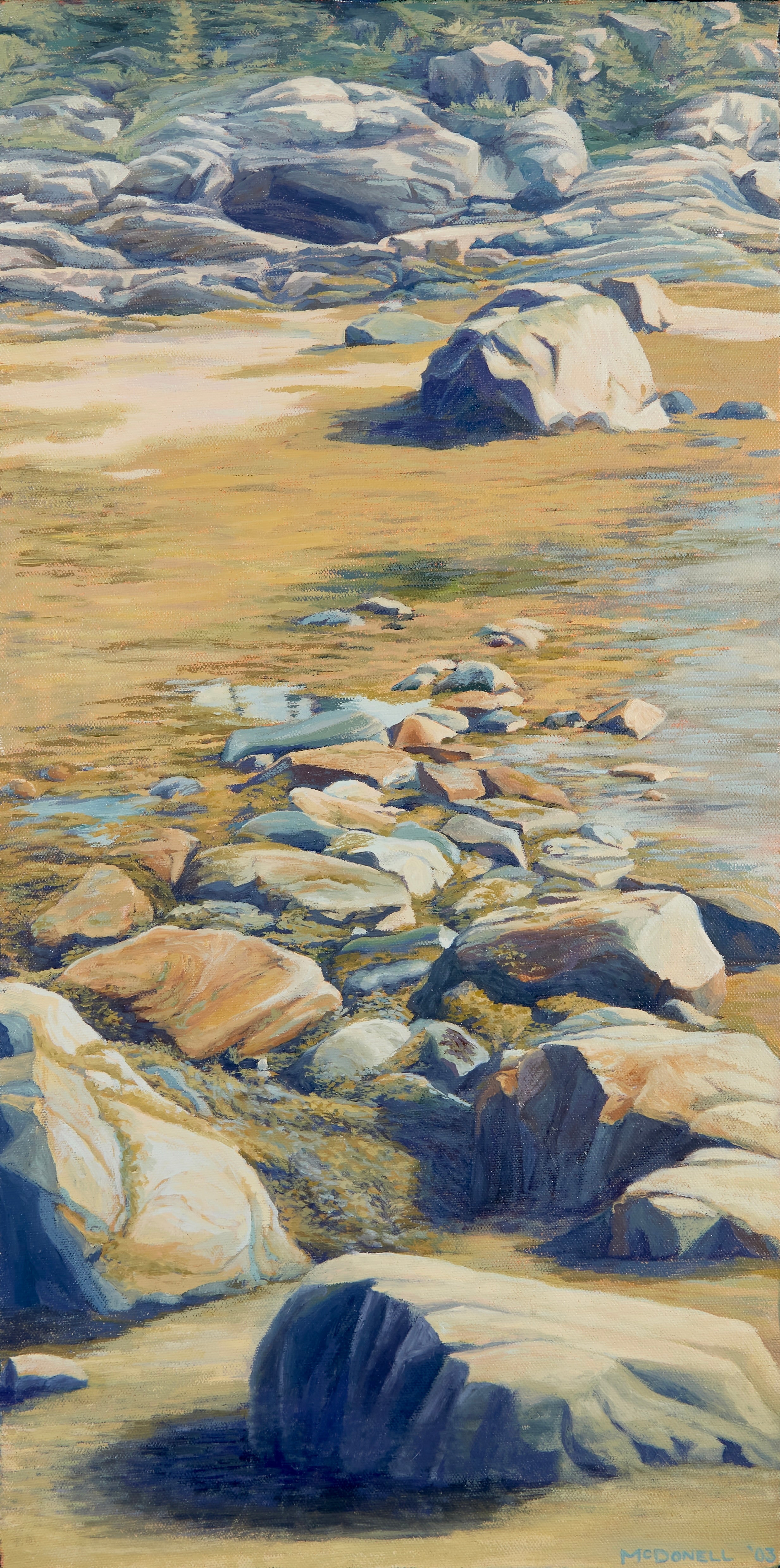 Mcdonell beachrocks lesescoumins2
