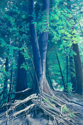 Tangled (aka Root Hive) - PRINT