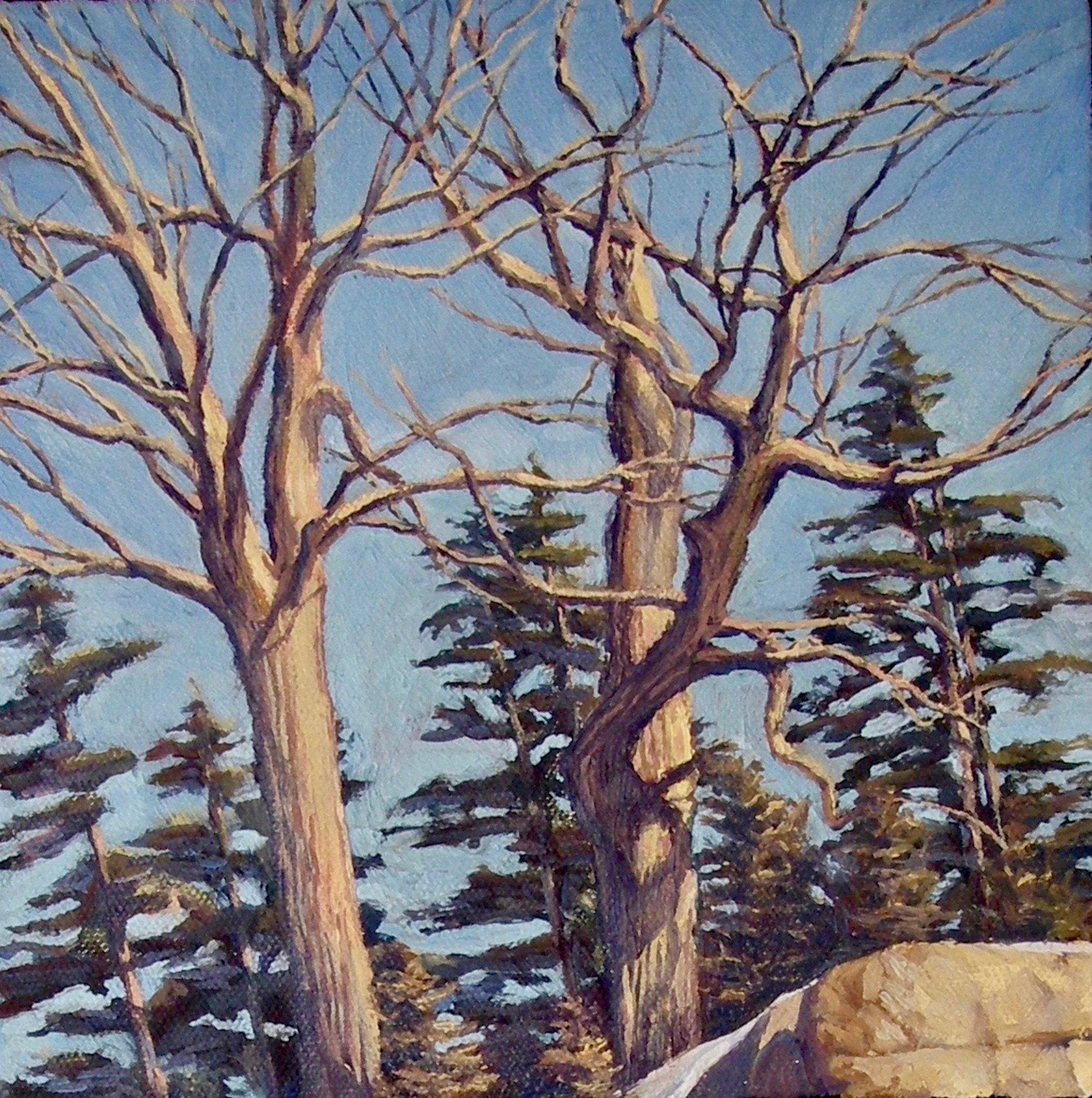 Mcdonell eastofk upper 20042