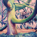 MacLaughlin Pine - PRINT-1