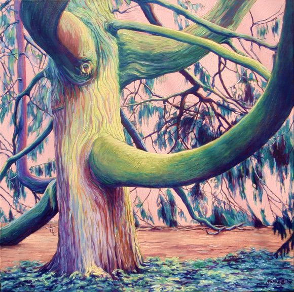 McLaughlin Pine - PRINT