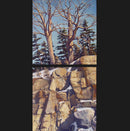 Diptych: East of K-1