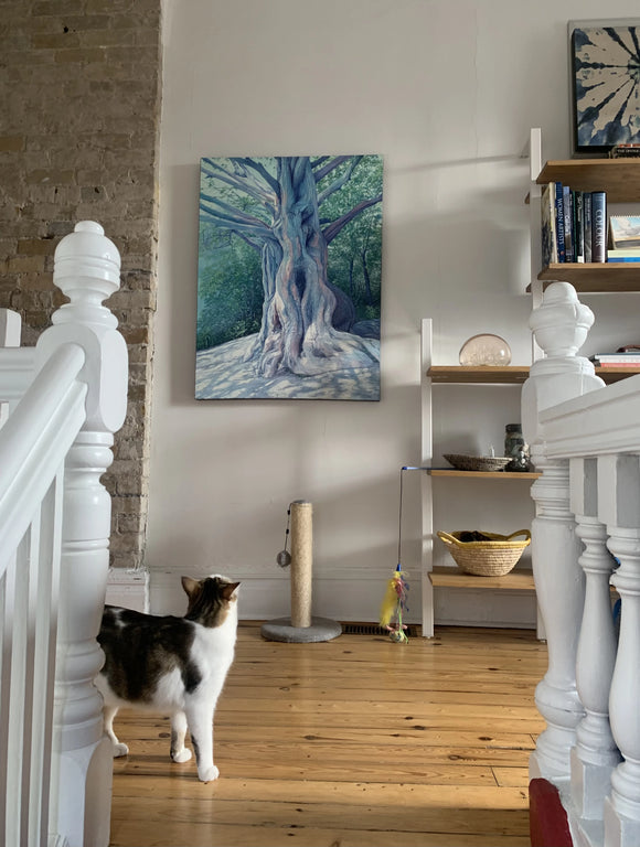 W  gerri s cat img 3766 3